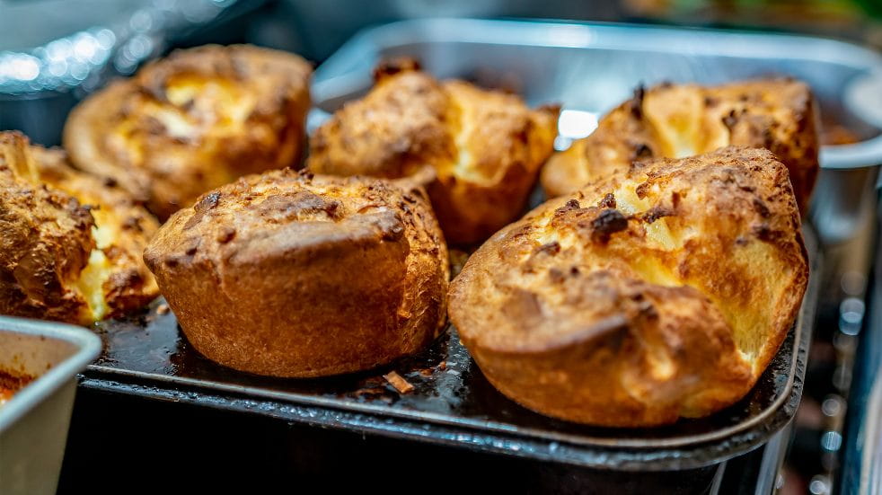 very best yorkshires